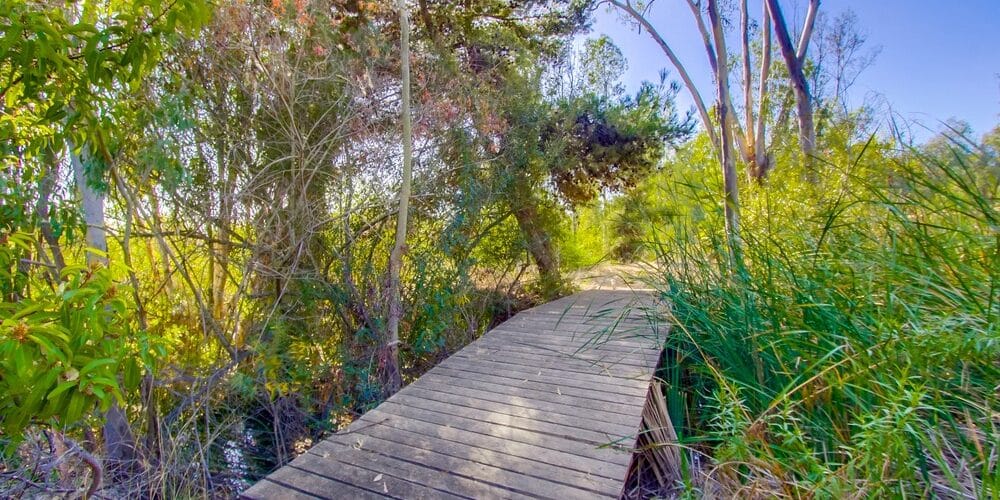 3485 Lone Jack Rd - web - 10